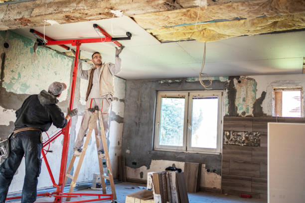 Best Insulation Maintenance and Repair in Owensboro, KY